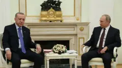 Эрдоган и Путин