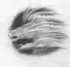 Графічна ілюстрація Катерини Штанко - голова коня, оповитого хмарами