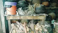 Agbo ibilẹ