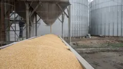 tahıl 