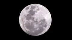 Mesec