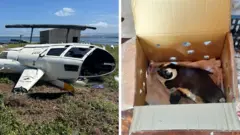 Na levoj fotografiji je helikopter koji je pao, a na desnooj pingvin u kutijii