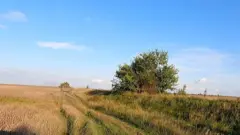 Херсонщина