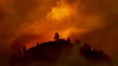 نيران