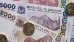 fedha za tanzania
