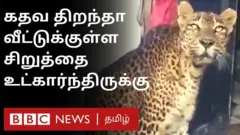 மகாராஷ்டிராவில் பூட்டிய வீட்டுக்குள் புகுந்த சிறுத்தைக் குட்டி