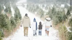 Di best place to raise pikin