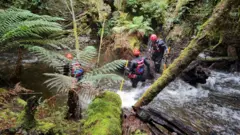 Três trabalhadores de resgate, usando capacetes vermelhos e equipamentos de proteção, atravessam um riacho de correnteza forte em uma floresta densa. Com o apoio de bastões, avançam pela água entre rochas cobertas de musgo, árvores caídas e grandes samambaias às margens do curso d’água. Foto de 4 de julho de 2023