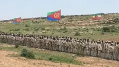 Ciidanka Eritrea