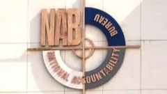 نیب