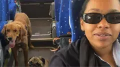 నూన్ అబ్దెల్‌బాసిత్ ఇబ్రహీమ్