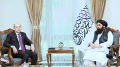 وزارت خارجه طالبان