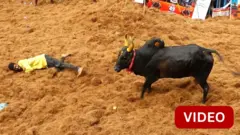 அலங்காநல்லூர் ஜல்லிக்கட்டு 