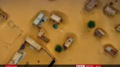 اقليمي