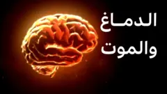الدماغ والموت