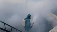 डेङ्गी नियन्त्रणमा समुदायको भूमिका पनि महत्त्वपूर्ण रहेको छ