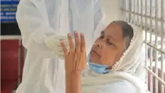 নমুনা পরীক্ষা