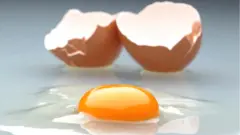 Huevo