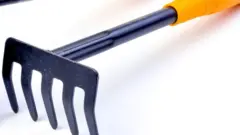 Qottoo