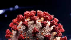 ਕੋਰੋਨਾਵਾਇਰਸ