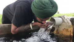 ਪਾਣੀ