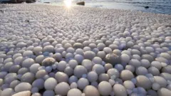 ဖင်လန်က ဟေလူအိုတို ကမ်းခြေမှာ တနင်္ဂနွေနေ့က ဥပုံသဏ္ဍာန် ရေခဲလုံးတွေ ဖုံးသွားတာကို ရစ်စတို မတ်တီလာက ဓာတ်ပုံရိုက်ခဲ့ပါတယ်။