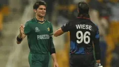 کرکٹ
