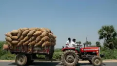ధాన్యం రవాణా
