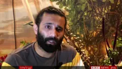 موسيقي