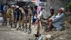 نوکری