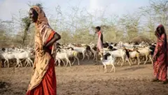 Aworan awọn ti iyan n daa laamu ni agbegbe Horn of Africa