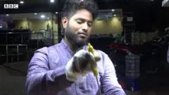 પાણીપુરી