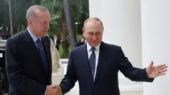 erdoğan putin