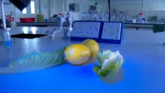 Um limão e pedaços de alface estão sobre uma bancada de laboratório sob luz ultravioleta. Pequenos pontos azuis luminosos aparecem no limão, representando gotículas de água contaminada.