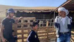 Mhilat ailesi