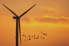 සුළං බලාගාර