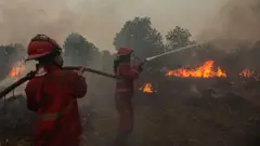 Kebakaran hutan
