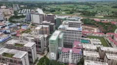 ஷ்வே காக்கூ