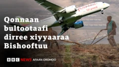 Daandii Qilleensa Itoophiyaa