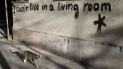 Кот на улице Афин