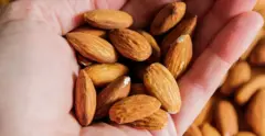 Bir avuç badem tutan bir eli yakından görüyoruz.