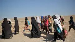 کرېکټ