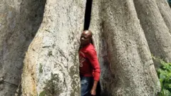 Amaknma, Abia State. Wooden Cave