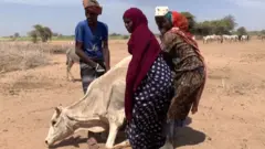 इथियोपिया