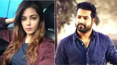 మీరా చోప్రా, జూనియర్ ఎన్టీఆర్