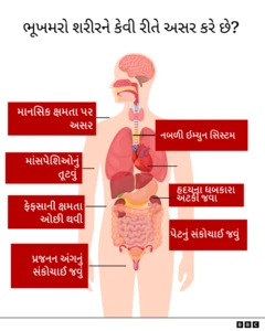 ભૂખમરો, શરીર પર થતી અસર, બીબીસી, ગુજરાતી