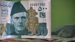 imf