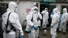 Коронавирус тууралуу жаңылыктарда иллюстрация үчүн колдонулган сүрөттөр кыямат тууралуу тасмалардай эле элес калтырат. Сүрөттө Түштүк Кореянын армиясы айыл жеринде дезинфекция кылып жүргөн учуру