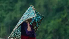 घुम ओडेकी एक महिला