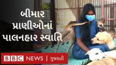 પશુપ્રેમી સ્વાતિ